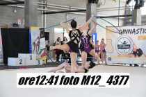 M12_4377
