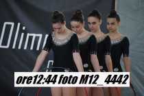 M12_4442