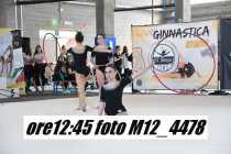 M12_4478