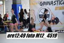 M12_4519