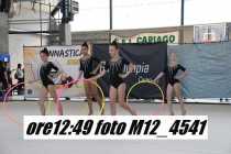 M12_4541