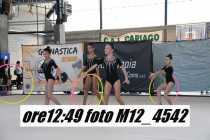 M12_4542