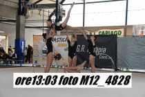 M12_4828