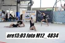 M12_4834
