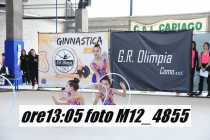 M12_4855