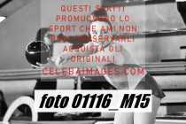 01116_M15