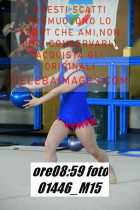 01446_M15