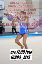 10993_M15-