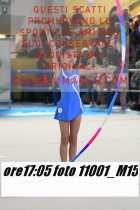 11001_M15-
