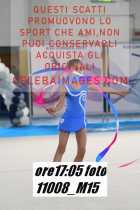 11008_M15-