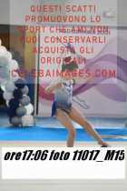 11017_M15-