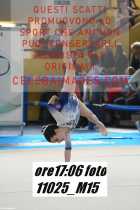 11025_M15-