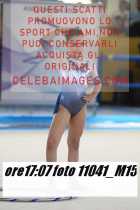 11041_M15-