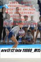 11080_M15-