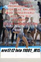 11081_M15-