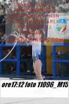 11096_M15-