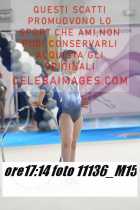 11136_M15-