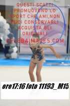 11193_M15-