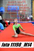 11198_M14-