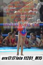 11201_M15-