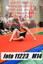 11223_M14-