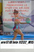11232_M15-