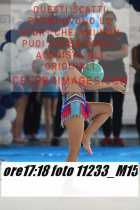 11233_M15-
