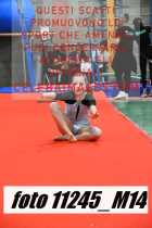 11245_M14-