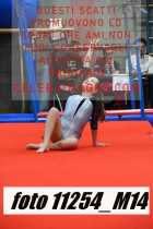 11254_M14-