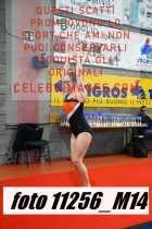 11256_M14-