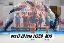 11259_M15-