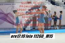 11260_M15-