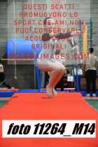 11264_M14-