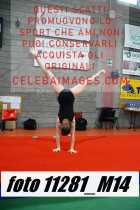 11281_M14-