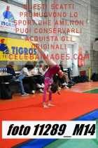 11289_M14-