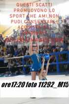 11292_M15-