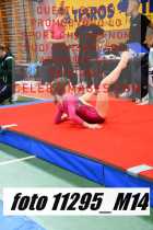 11295_M14-