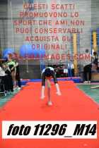 11296_M14-