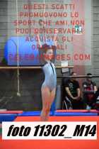 11302_M14-