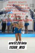 11308_M15-