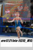 11315_M15-