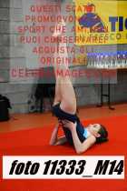 11333_M14-