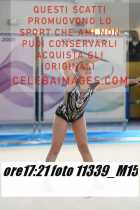 11339_M15-