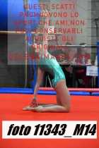11343_M14-