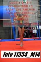 11354_M14-