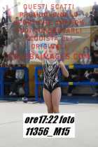 11356_M15-