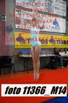 11366_M14-