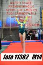 11382_M14-