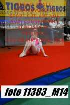 11383_M14-