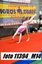 11394_M14-